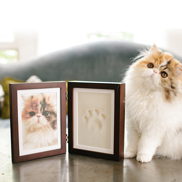 Custom Pet Paw Print Keepsake Frame & DIY Fur Vial 🐾